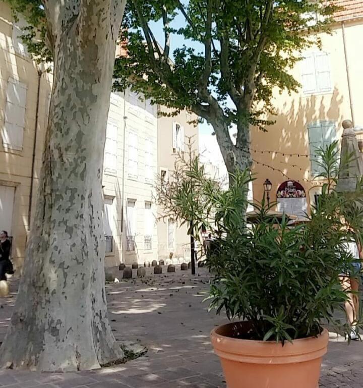 Agreable Studio Vue Port Au Cap D'Agde Εξωτερικό φωτογραφία